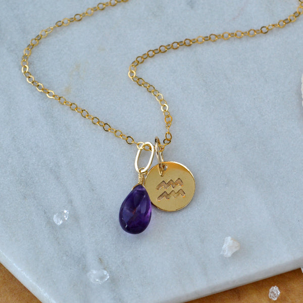 Aquarius charm zodiac sign charms astrology pendant zodiac charm gold filled on chain with birthstone amethyst february