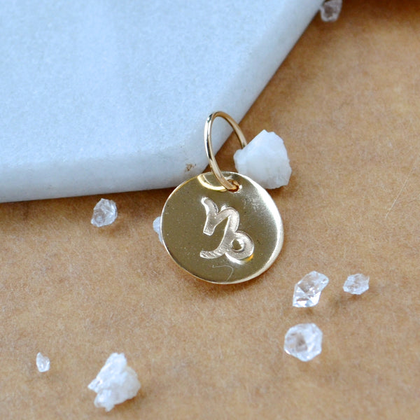 Capricorn charm zodiac sign charms astrology pendant zodiac charm gold filled