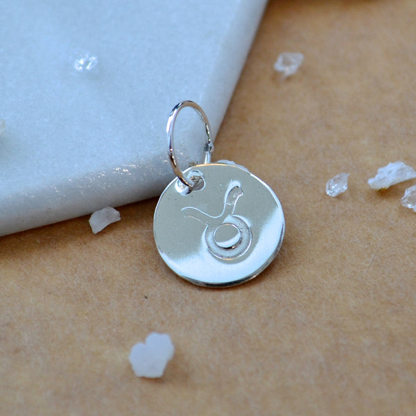 Taurus charm zodiac sign charms astrology pendant zodiac charm silver