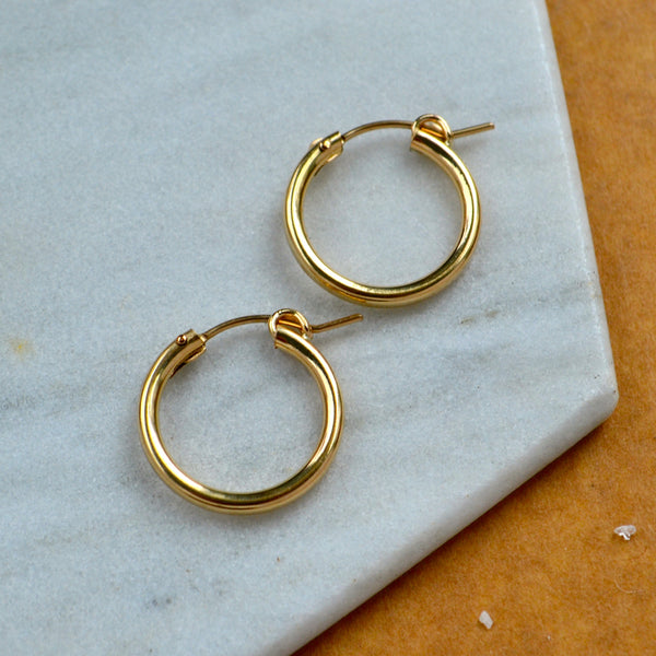 chubby hoops 2mm tube hoop earrings hinged hoops thick hollow tubing hoops gold simple hoop