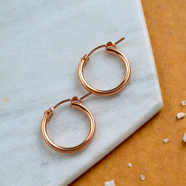 chubby hoops 2mm tube hoop earrings hinged hoops thick hollow tubing hoops rose gold simple hoop