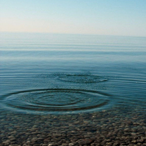 Skipping Stones Earrings - dangling multi circle earrings in gold, silver, or mixed metals - Foamy Wader